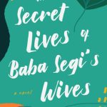 Baba Segi novel reimagined