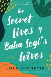 Baba Segi novel reimagined